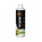  SPW Fit Active Concentrate 500 