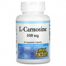  Natural Factors L-Carnosine 500  60 