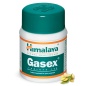  Himalaya Gasex 100 